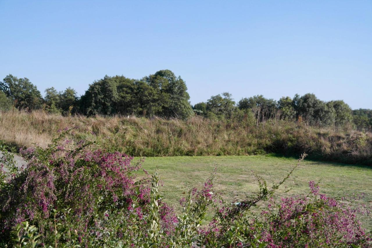Maison Pour 4 A La Campagne Avec Piscine Commequiers Bagian luar foto
